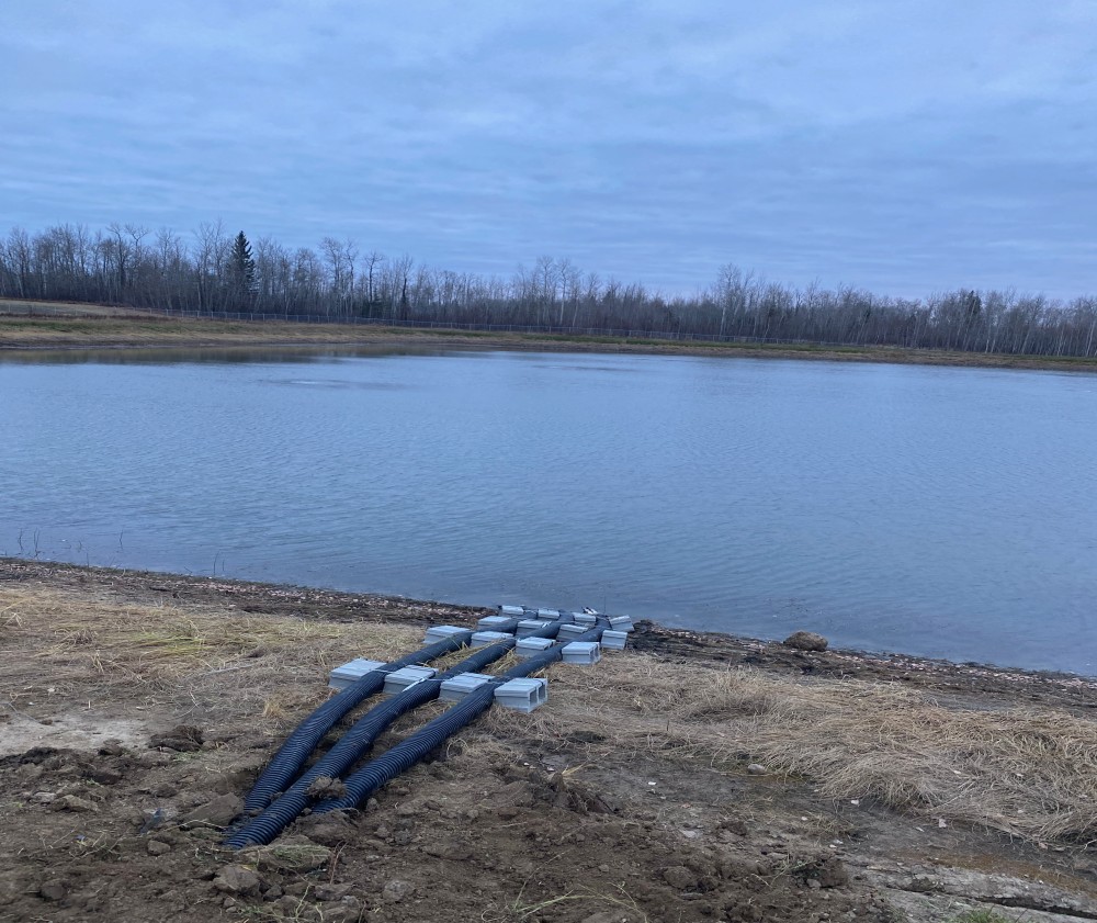 Janvier - First Nation